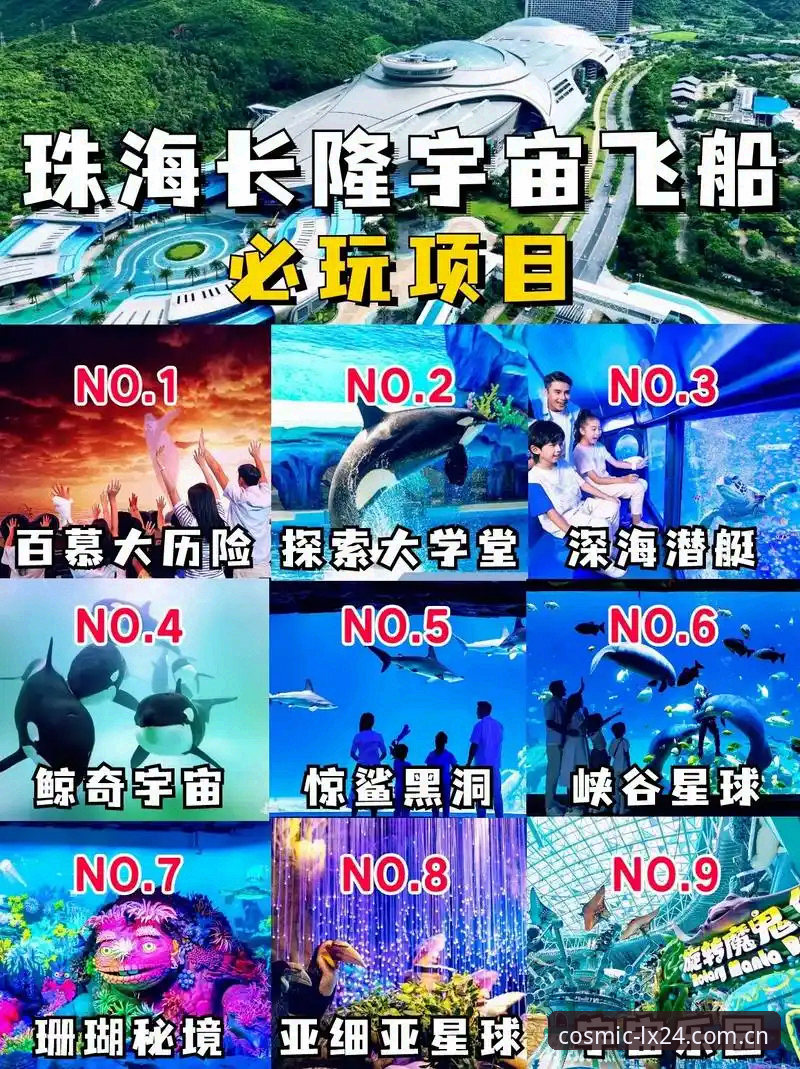 星空入口App充值教程 星空平台入口充值之坑与解:自研LX24体验版实操对比避坑指南